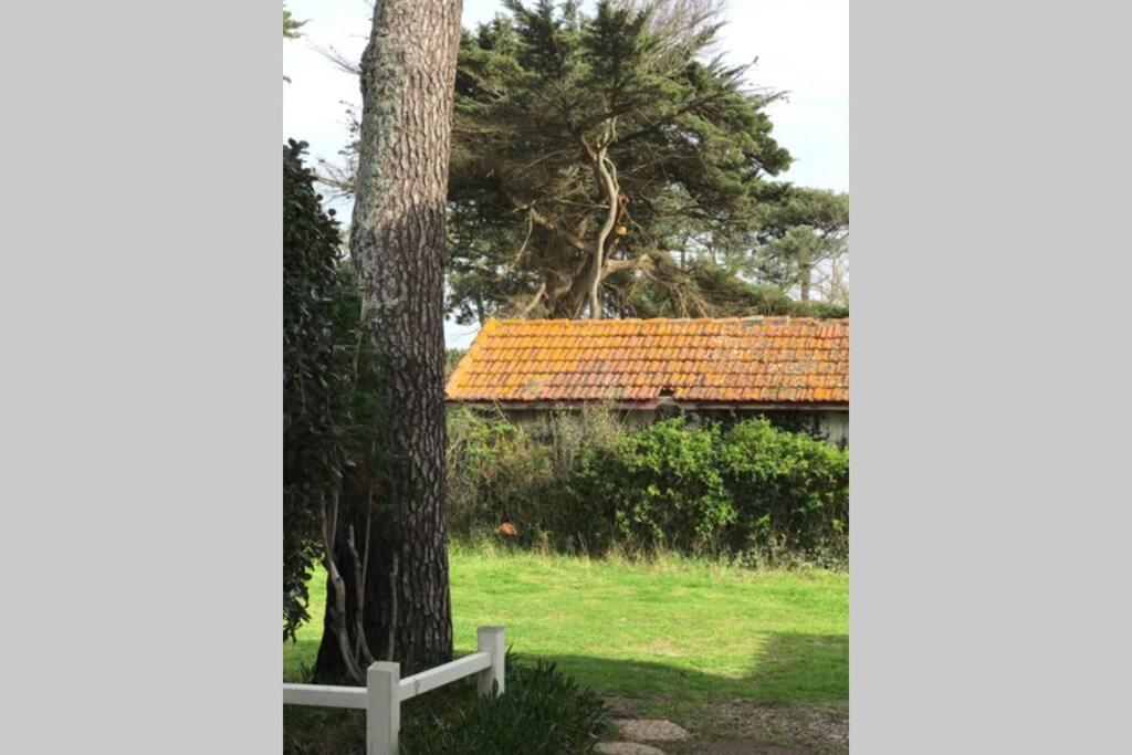 Maison A 300M De La Plage, Quartier Calme Mimizan-Plage Zewnętrze zdjęcie