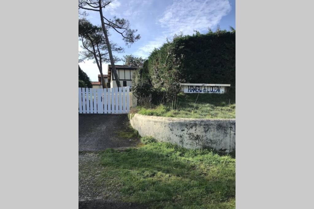 Maison A 300M De La Plage, Quartier Calme Mimizan-Plage Zewnętrze zdjęcie